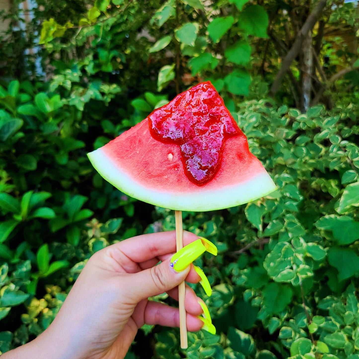 SANDIA PICANTE 16oz.